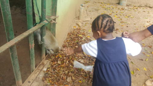One of the children of The Zeebah Place Abuja interacting with an animal