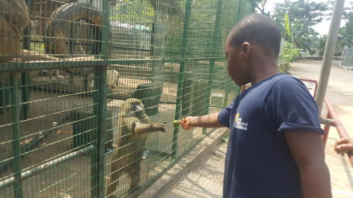 One of the children of The Zeebah Place Abuja interacting with an animal